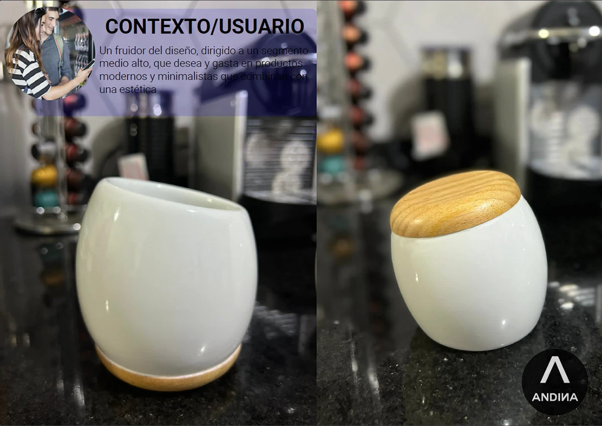 Detalle del proyecto ANDINA